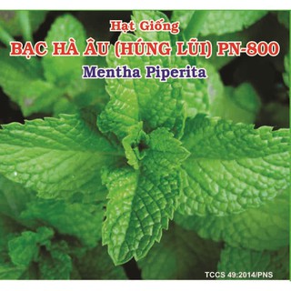 Hạt Giống Bạc Hà Âu (Mentha Piperita) Phú Nông - Giống Rất Thơm