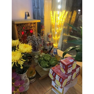 Bông lúa đèn led bó 10 bông