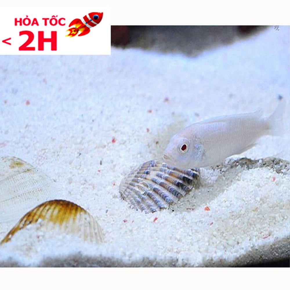 Cát thạch anh lọc nước , Vật liệu lọc, trang trí bể cá