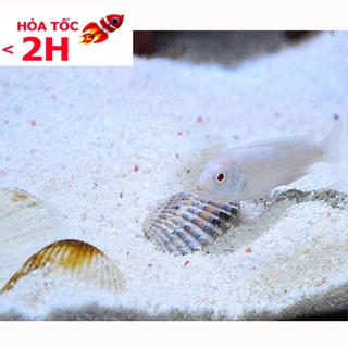 Cát thạch anh lọc nước (1KG), Vật liệu lọc, trang trí bể cá