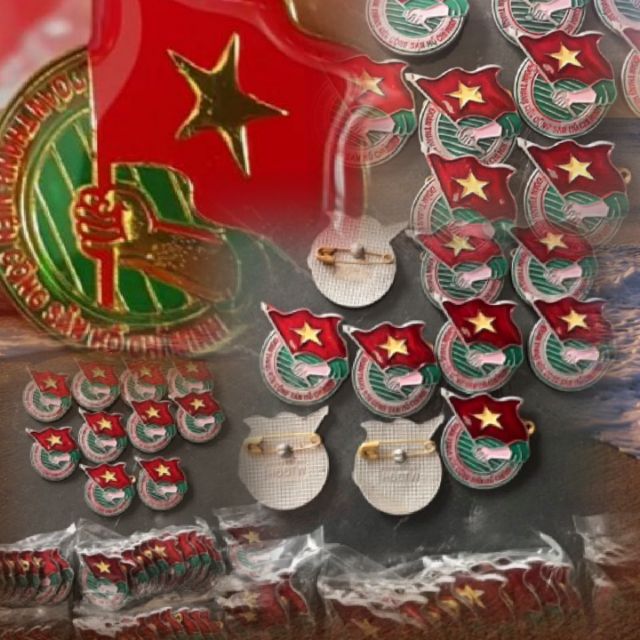 Huy Hiệu Đoàn Việt Nam