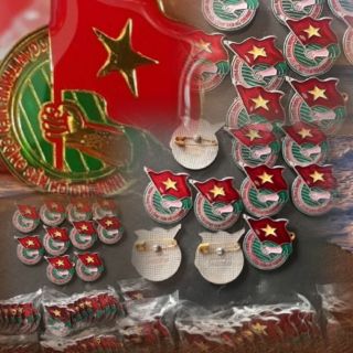 Huy hiệu đoàn việt nam