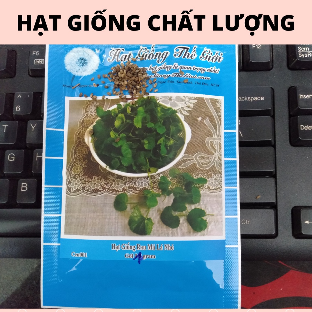 Hạt Giống Rau Mầm Đậu Hà Lan [50g]