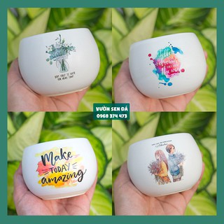 Chậu sứ hạt dẻ mini 8x8cm - In hình