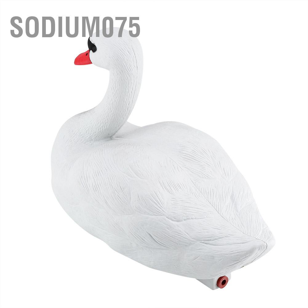 Sodium075 Sodium075 Đồ trang trí sân vườn mô phỏng dễ thương tinh tế thiên nga trắng Công cụ săn mồi
