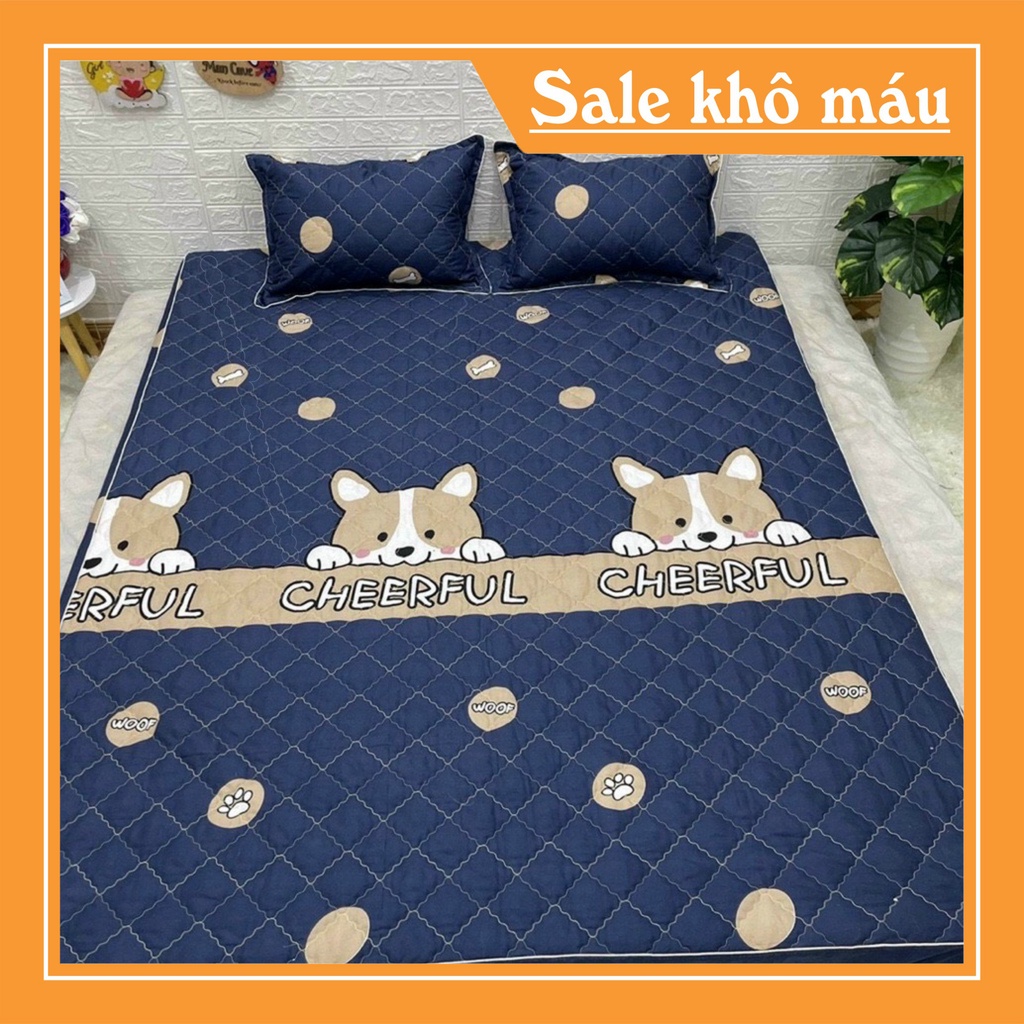 Ga Chun Trần Bông trải giường chất liệu cotton poly giá rẻ nhiều màu sắc lựa chọn | BigBuy360 - bigbuy360.vn
