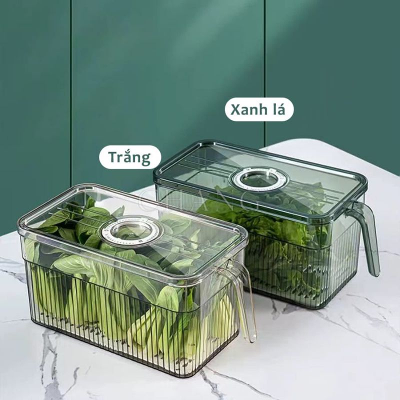 HỘP ĐỰNG THỰC PHẨM TỦ LẠNH CÓ TAY CẦM CAO CẤP