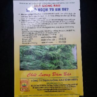 Hạt giống bí đỏ ngọn