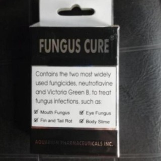 Fungus cure - nấm,mắt,vây cá