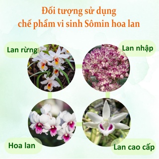 Chế phẩm vi sinh Sômin hoa lan 100ml