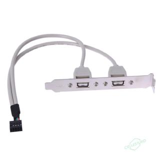 CS 2 Port Rear Panel Bracket Motherboard Cable USB 2.0 Connector Cable Adapter