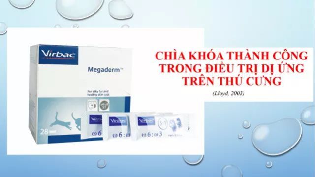 5 hộp Megaderm (28 gói/ hộp) mượt lông da, tăng cường sức khỏe chó mèo