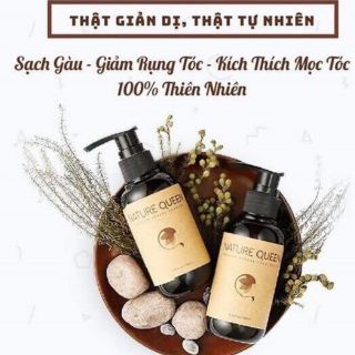 Bộ dầu gội - xả NATURE QUEEN (480ml)