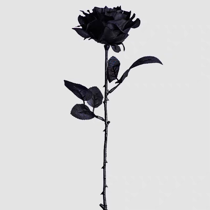 1 bông hoa hồng chất liệu nhựa dùng làm phụ kiện chụp ảnh concept có sẵn size 8x50cm