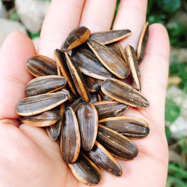 Thanh Hoá - HƯỚNG DƯƠNG BÀ GIÀ VỊ CARAMEN GÓI 500G