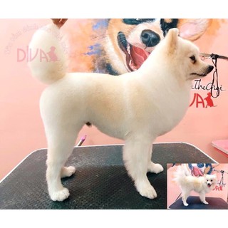 Sữa Tắm Diva Cho Chó Mèo - 400ml