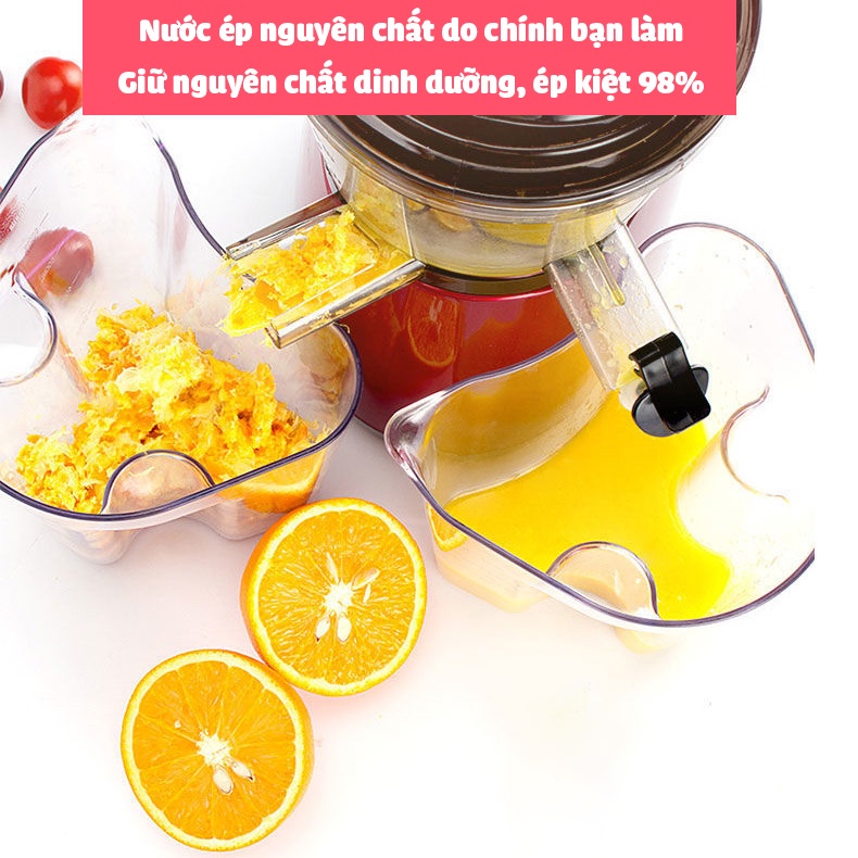 Máy Ép Trái Cây HONGXIN RH 312 Nghiền Không Cần Cắt Nhỏ, Nghiền Cả Quả Tốc Độ Chậm Công Suất Lớn