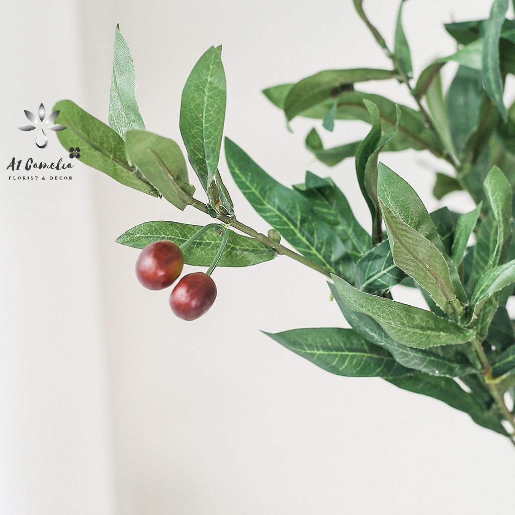 Cây Decor - Cây Oliu Camelia + Tặng Kèm Giỏ Decor Cao Cấp, Chiều Cao 0,8m, Chất Liệu Lá Không Bám Bẩn,Quả Oliu Như Hình | BigBuy360 - bigbuy360.vn