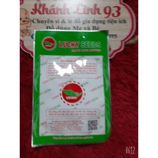 hạt giống cải bắp NFXF1