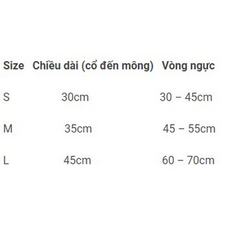 Bộ lân hóa trang cho cún