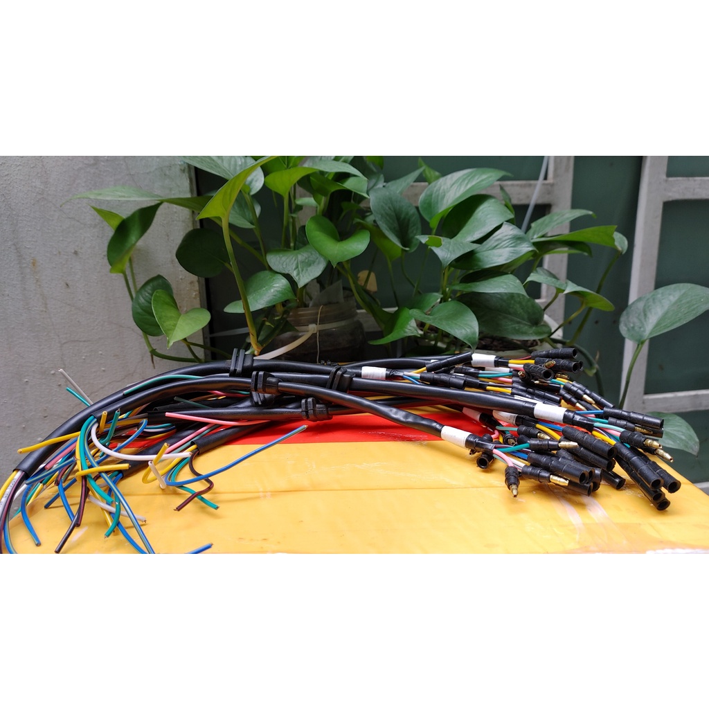 Dây điện mâm lửa dream Thái