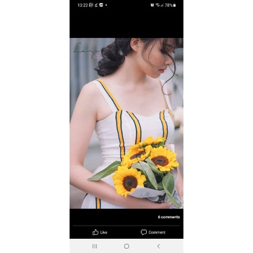Pass đầm Lép' - Lucia dress - Size S