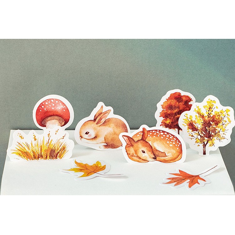 Hộp 46 miếng sticker mẫu con sóc và khu rừng mùa thu