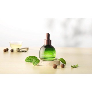 TINH DẦU INNISFREE THE GREEN TEA SEED OIL - #530k