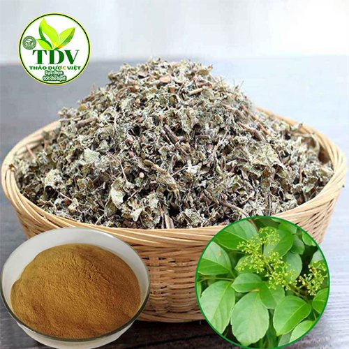 SALE 1kg chè dây sapa tốt cho dạ dày Hàng công ty Thảo Dược Việt