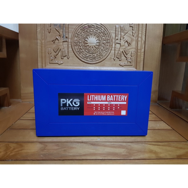 Pin lithium xe đạp điện , xe máy điện 48v 14ah 19ah