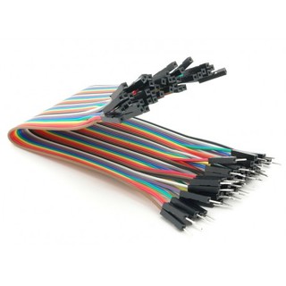 Dây bẹ đực- cái 30 cm (Bẹ/ 40 sợi) - TTH044