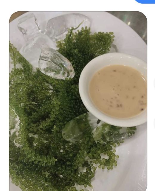 (Rẻ vô địch)1kg rong nho tách nước (rong muối) tặng kèm sốt mè rang ❤nở đều, xanh đẹp❤ freeship