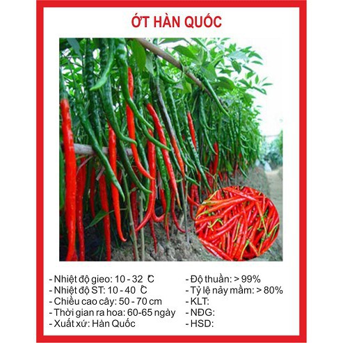 Bán sỉ Hạt giống ớt Hàn Quốc gói 30 hạt xuất xứ Hàn Quốc hàng nhập khẩu, hàng chính hãng.