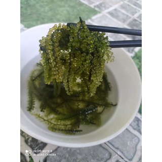 100g rong nho tách nước