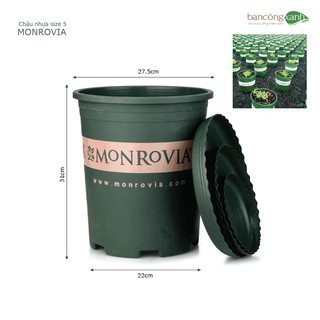 Chậu nhựa trồng cây Monrovia size 5 - ban công xanh