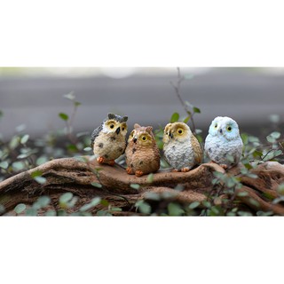 [Tiểu Cảnh] ❤❤Chim Cú Mèo Giáo Sư Dễ Thương❤❤ Phụ Kiện Trang Trí Tiểu Cảnh Sen Đá, Terrarium, Decord Mô Hình, Nhà Búp Bê