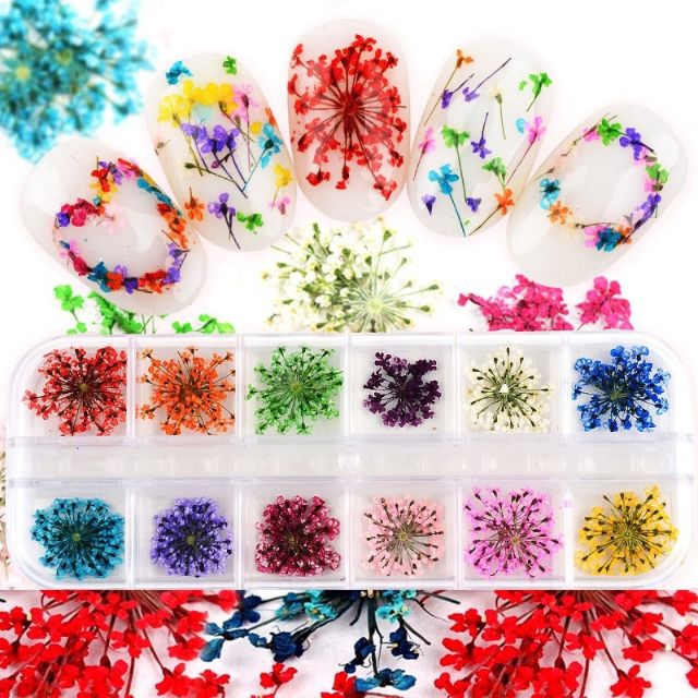 Hoa khô trang trí móng, sản phẩm resin.