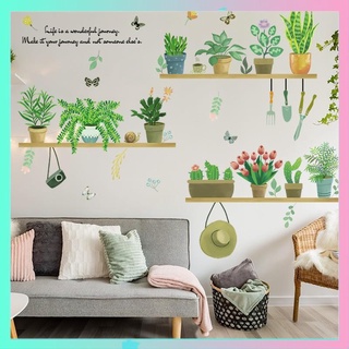 Decal dán tường, Tranh dán tường chậu cây mũ