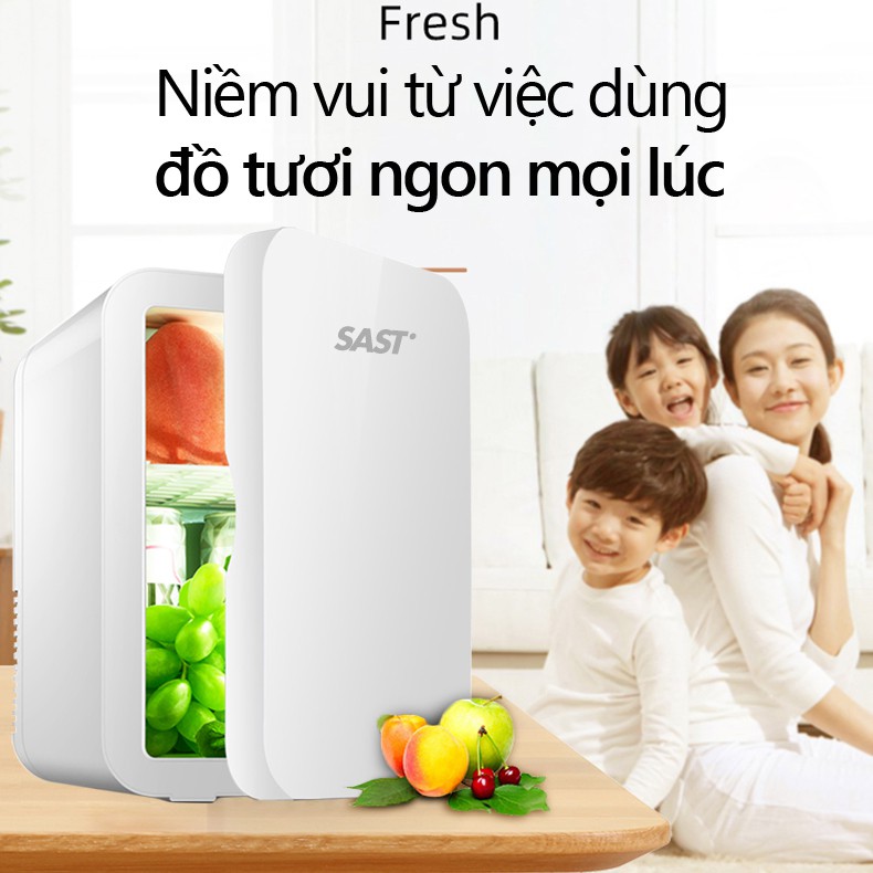 BE101 Tủ lạnh mini 8L dùng trên xe oto hoặc gia đình, vừa làm lạnh vừa làm ấm được topsmarket898