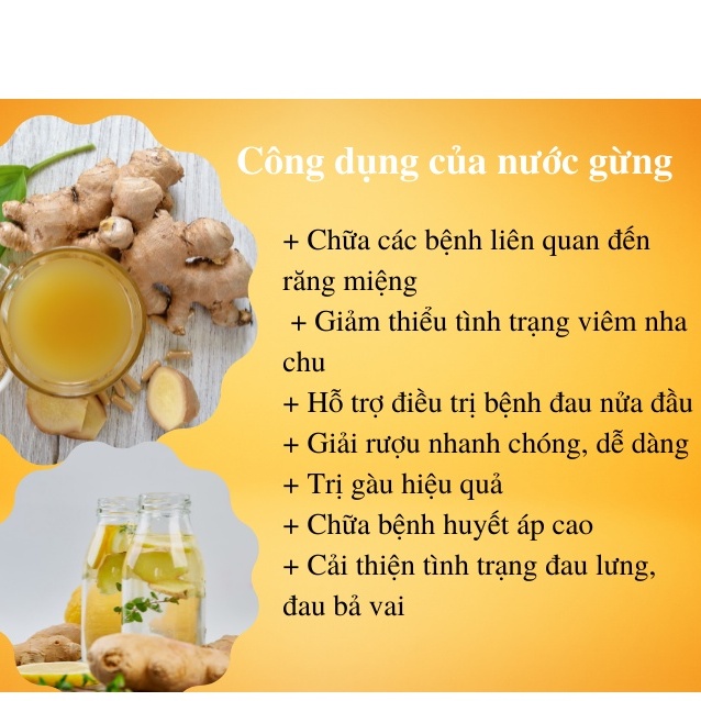 Trà Gừng Túi Lọc THP Tốt Cho Tiêu Hóa Hộp 25 gói trà (2g/gói)