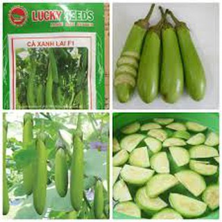 Hạt giống cà xanh lai (2G)
