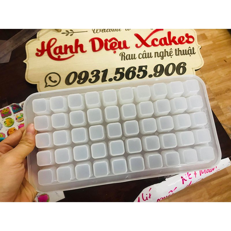 KHAY ĐÁ NHỰA HOFACO HPL17