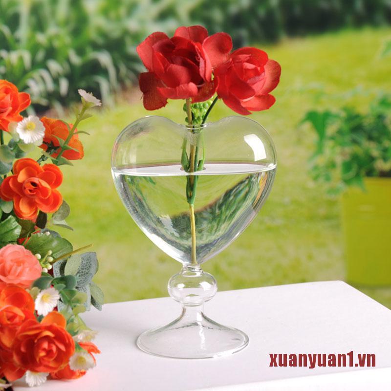 Chậu Kính Trồng Cây Hình Trái Tim Trang Trí Nhà Cửa