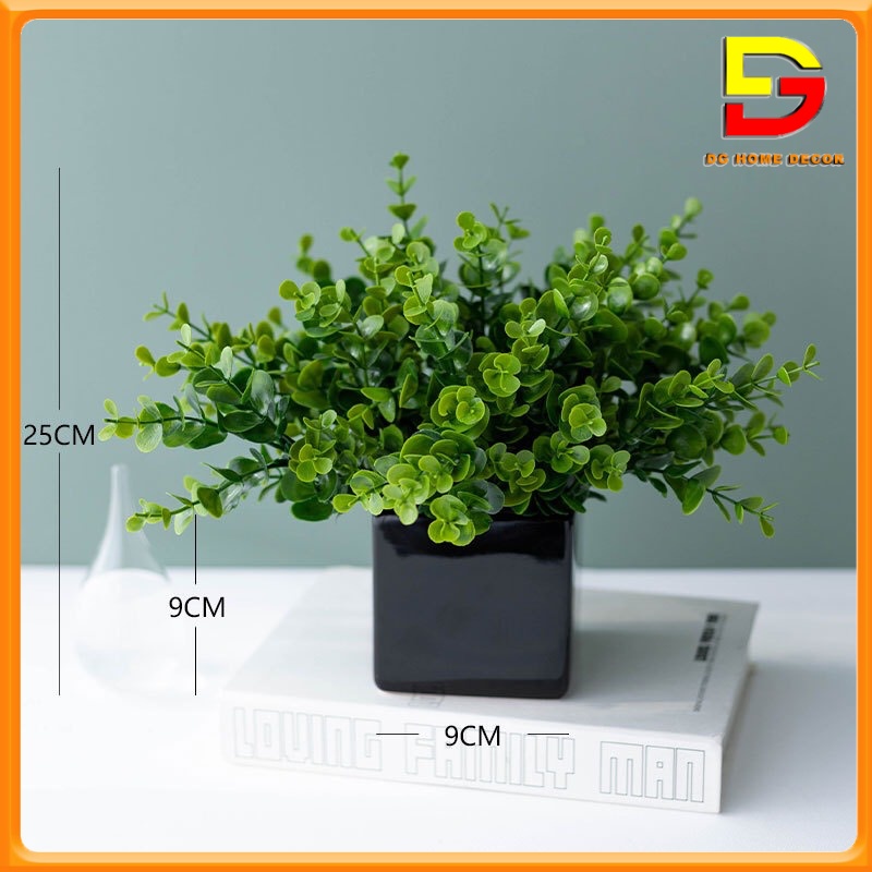 Chậu Cây Kim Tiền Xanh Cây Giả Decor Để Bàn Làm Việc Trang Trí Nhà Cửa Cao 35cm DG-61