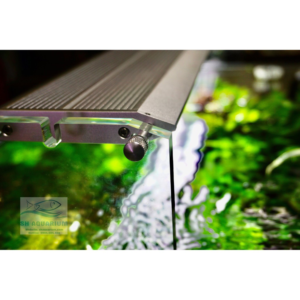 ĐÈN WEEK AQUA M900 PRO