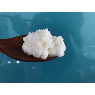 NẤM SỮA CHUA KEFIR TÂY TẠNG - BAO KHOẺ