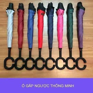 Ô NGƯỢC Nga