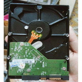Ổ Cứng HDD 1TB Western Purple