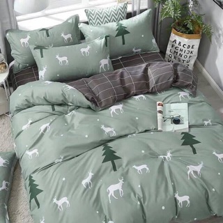 Set drap cotton ( có ruột chăn )