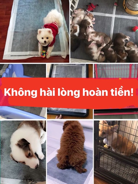 Giấy Tã Lót Vệ Sinh Than Hoạt Tính Cao Cấp Siêu Thấm Khử Mùi Hương Chanh